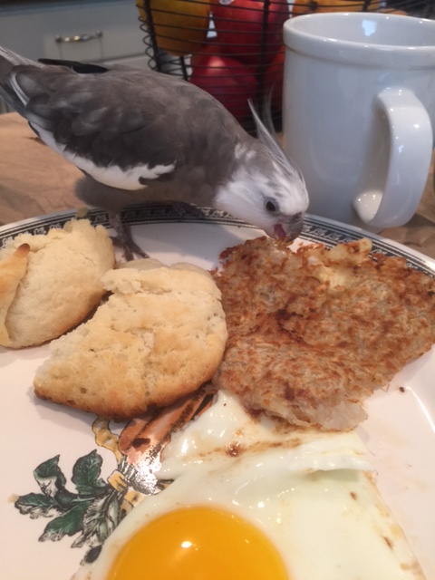 I'll just have a nibble to get my energy up first.