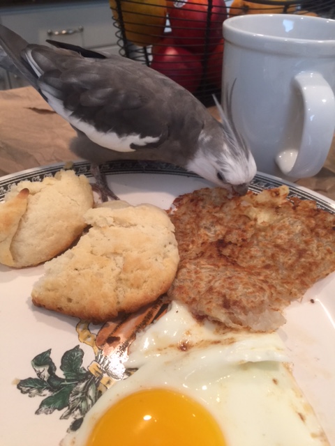 Maybe just another nibble or two....that way I'll be sure to win.