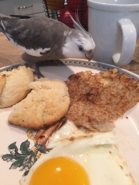 Well it's not my fault you're so delicious - we can play next time!