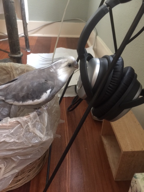 Testing......testing.....testing 1-2-3.....