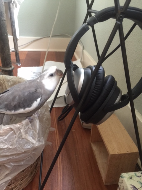 Yoohoo!! Is anyone home in there?!