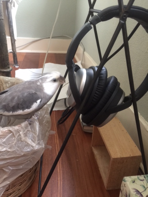 Now where were we.....?