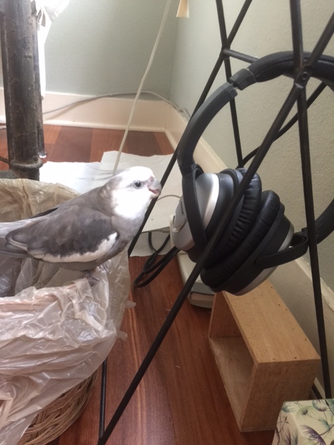 Chop chop - we've got a lot of songs to record so let's get to it!