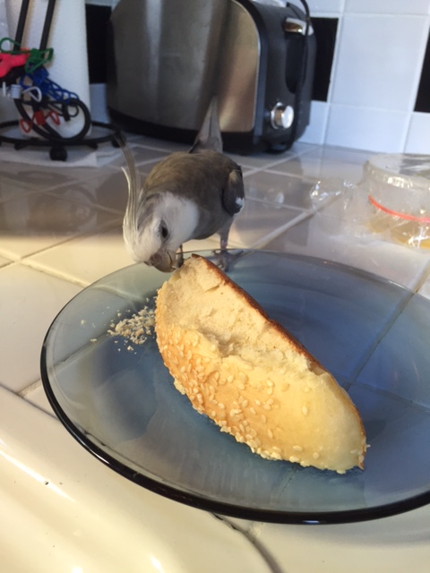 My culinary instincts never fail me - just scrumptious!