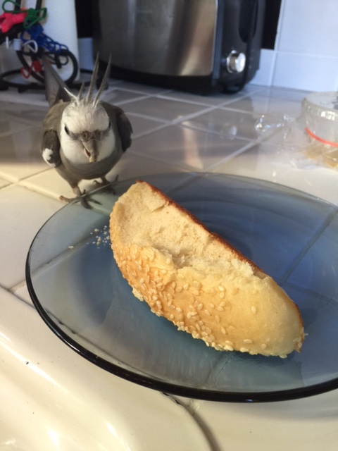 This could make for a great photo shoot!