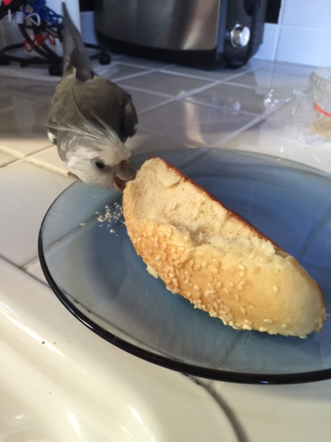 See? What'd I tell you? Shall we continue....?