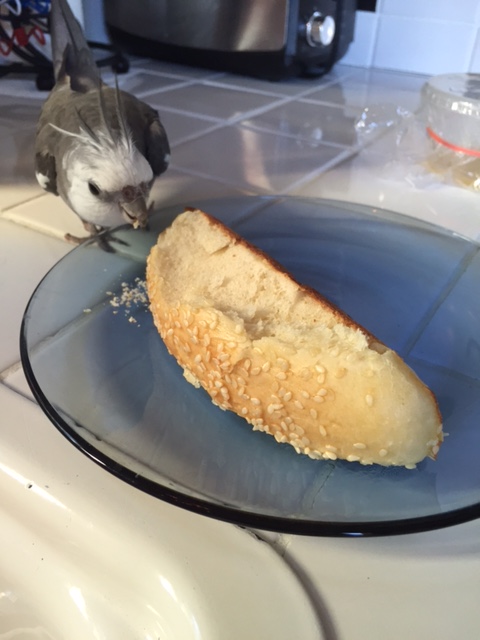 He says his name is "hot dog bun," and that I look very cute sampling him.