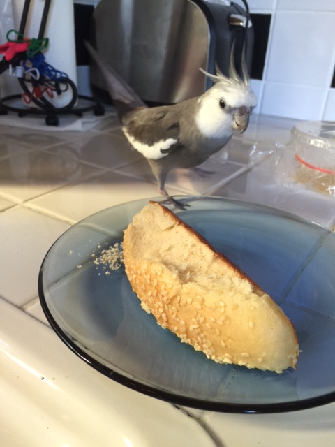 Oh! Well! What have we here?