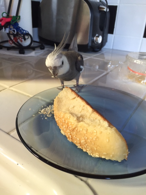 Have a sample? Oh how kind - don't mind if I do!