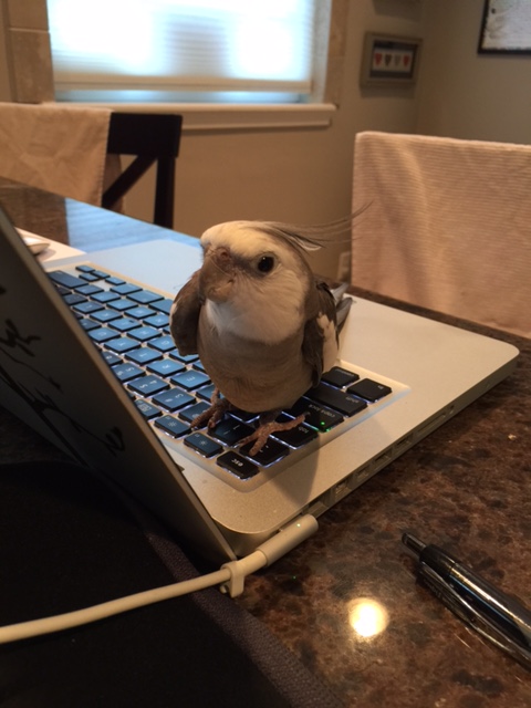 Don't worry - let me handle this. I know exactly how to distract her.