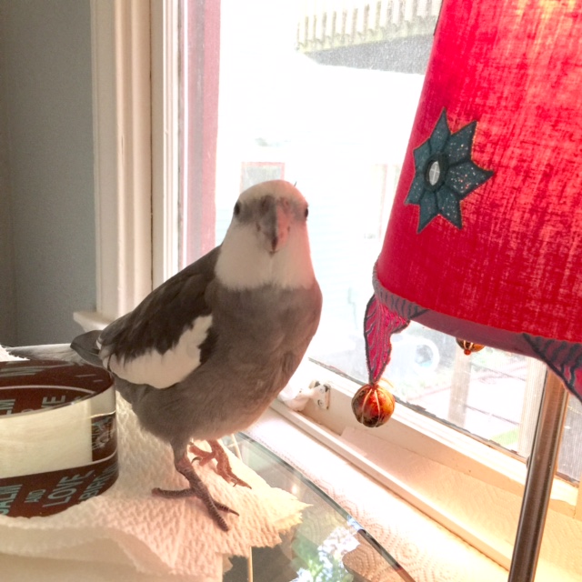 Uh oh. It would seem we have a line forming.