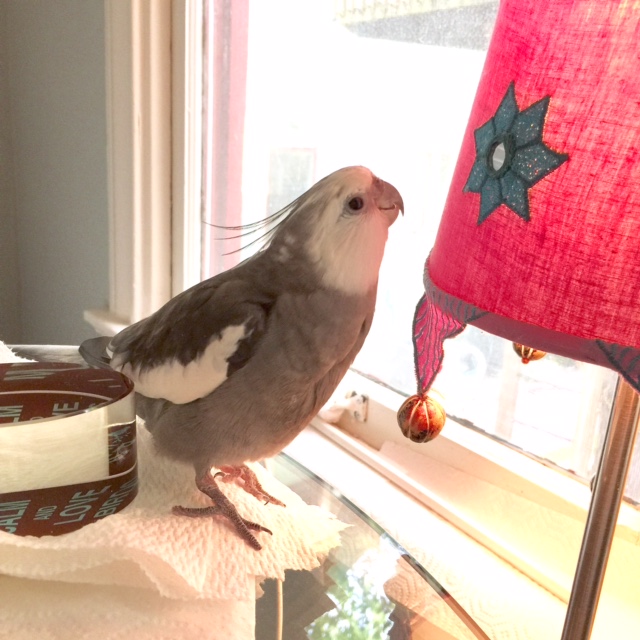 Oh! Well! Hello there! And thanks - you look quite pretty yourself!