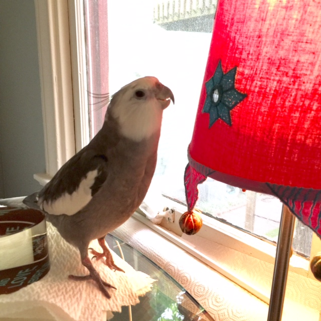 I'm your "prettiness role model?" You are too kind!