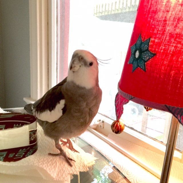 Yes, Mom, I can see you standing there in line....well, I will help you with prettiness later, okay?