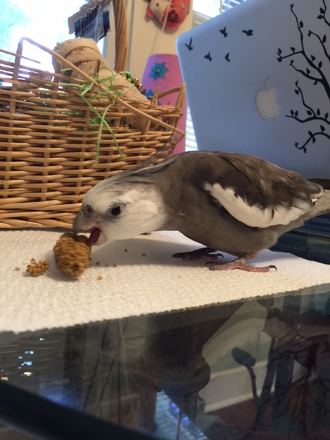 We then repeat the whole series of tests once more, just to be sure.