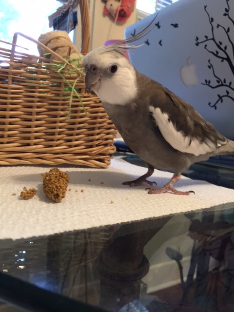 Millet? Is that really you? 