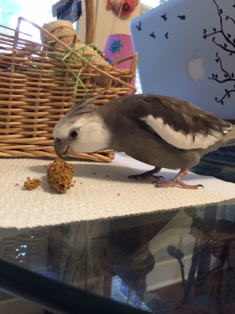 You remember how this works, right? First, I will take the scent of your bouquet....