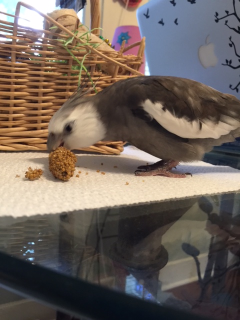 Quickly followed up with my patented "flash taste test" for crunch, flavor, and consistency....