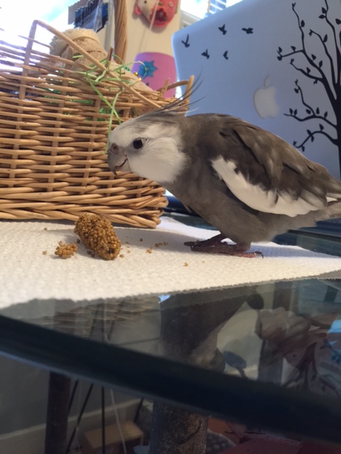 Well of course I remember from last time how delicious you are!