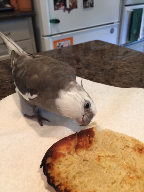 What is on today's lunch menu? Give me a minute - I'm still working that one out.