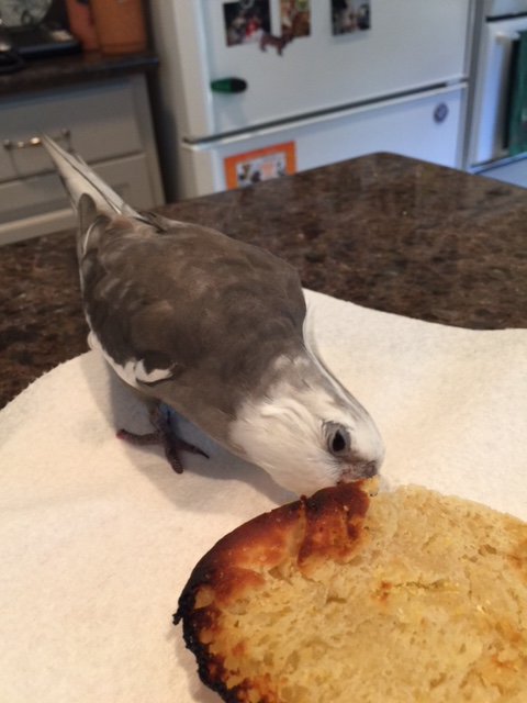 Nom nom nom....have I mentioned how glad I am you were able to make a lunch meeting work?