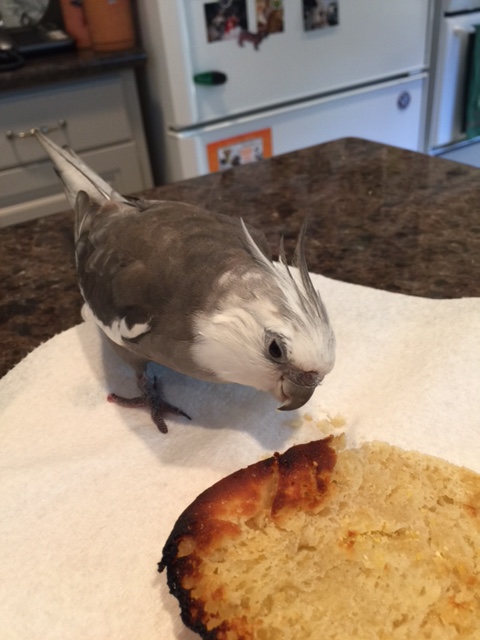 By the way, you smell delish...I mean divine.