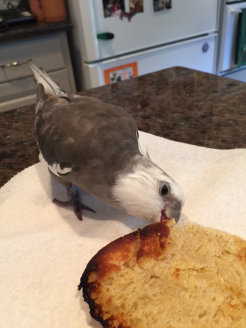 And really kind of you to bring lunch with you!