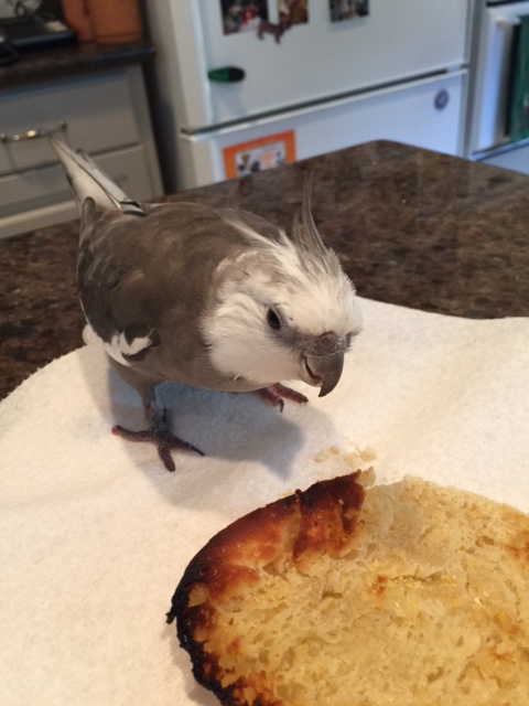 I agree! It is nice to finally meet face-to-face after I've heard so much about you!