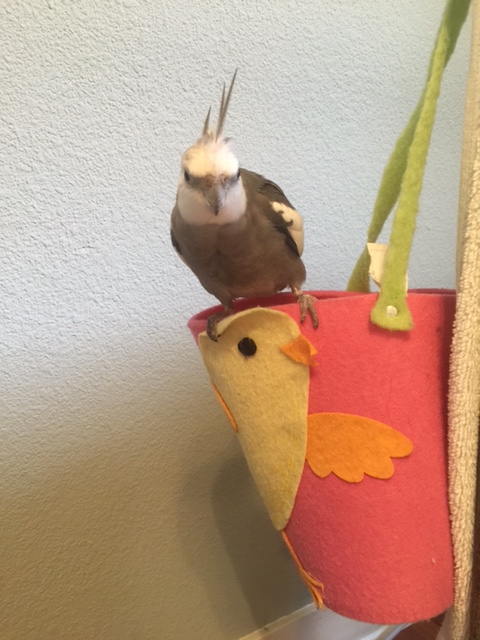 Very stern watching....