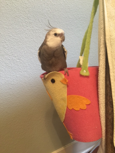 And watching....and watching....