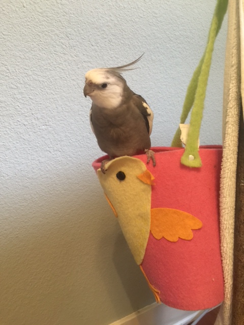 And watching and watching and watching....