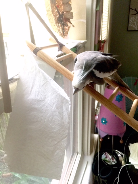 Is this your station?