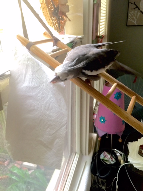 Well if you think that's comfortable, I'll show you something really comfortable!