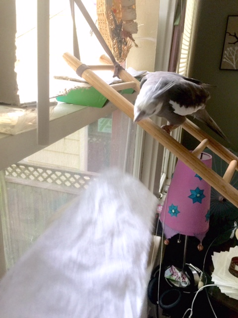 You're going to love this - I promise!