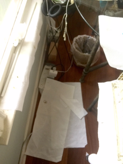 Very comfy, right? And very unemployed.