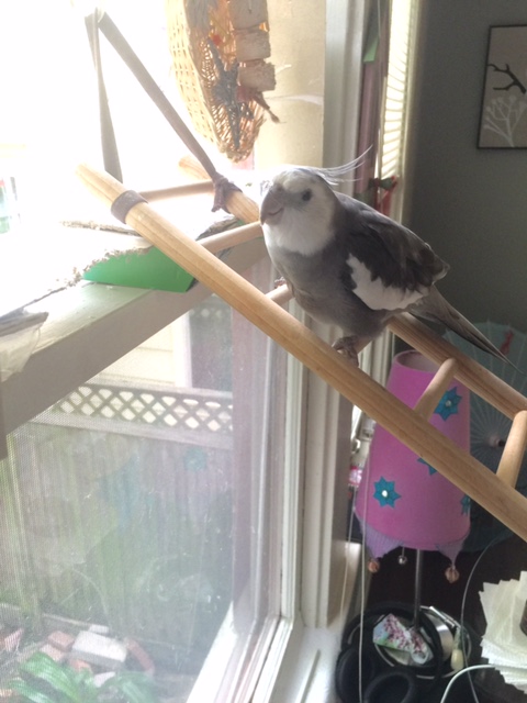 Oh hi Mom. Can you add "interview a new candidate for the position of 'Left Paper Towel' on our to-do list. Well, let's just say the previous employee went a bit, er, overboard....