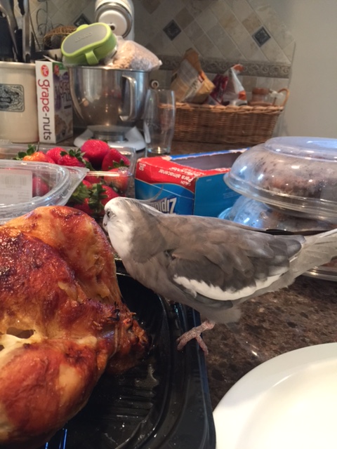 Hey, Grandpa - I couldn't help but notice how much you seem to want this dish. Therefore , as household "alpha," I will give it to you as a gift.