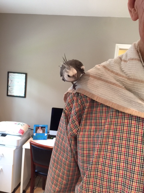 Whatever it is, Grandpa definitely wants it.