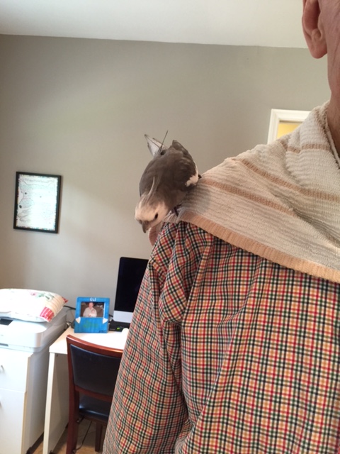 I'd better go ahead and claim it. Then I can give it away if I don't want it.