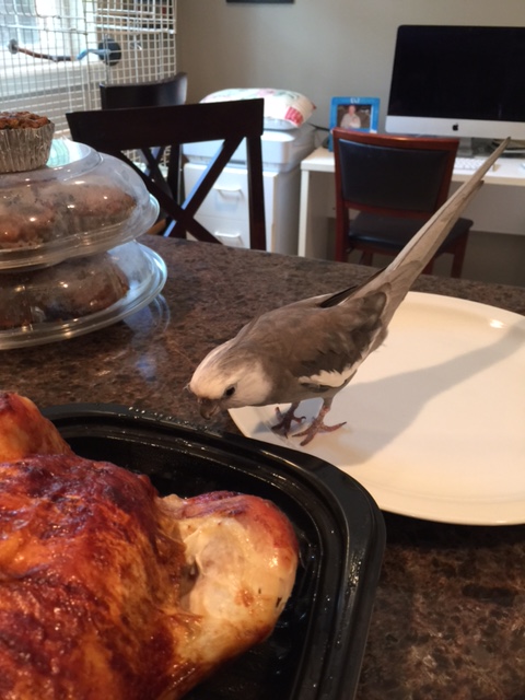 Beats me what Grandpa's so excited about. Plus, something about this dish gives me the creepies.