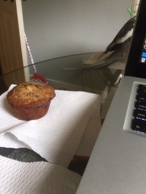 Suddenly, from out of nowhere, there is just the faintest rustle of movement! (pause for audience gasp of suspense)