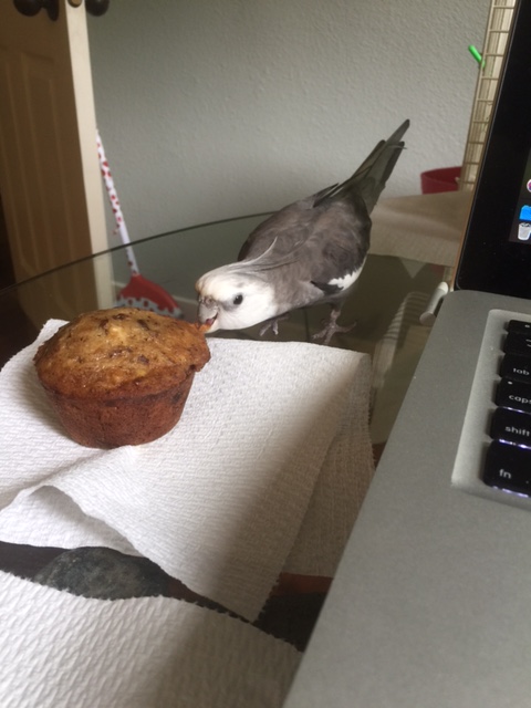 (Stage lights suddenly come up!) The being is revealed as the stuff of legend - the Invisible Muffin Eater himself - in the feathers!