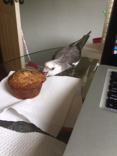 The Muffin Eater snatches nearly-invisible fragments of muffin with each quick bite he takes.