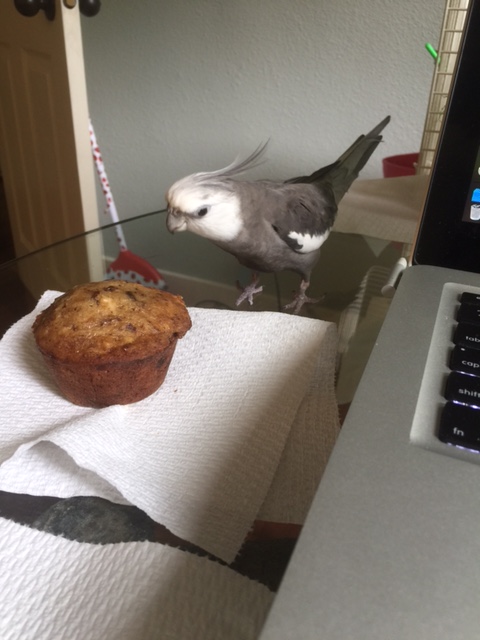 Then, as if receiving a message from the muffin itself, he suddenly draws back, listening intently to a sound only he can hear.