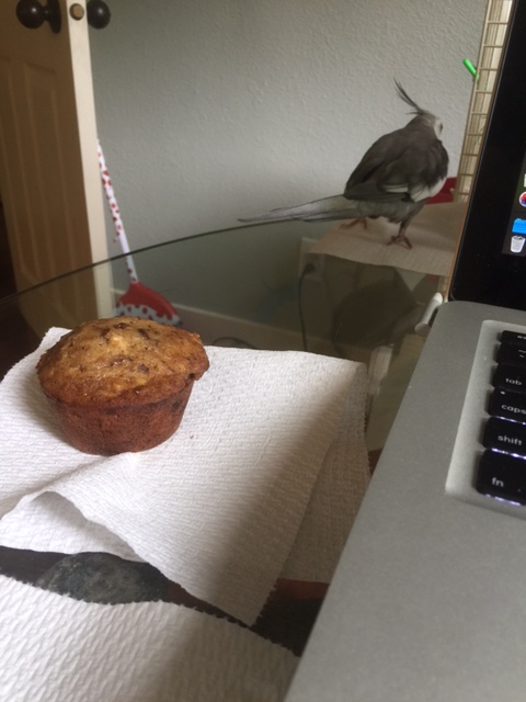 As quickly as he came, the Invisible Muffin Eater vanishes back into the dim evening light.