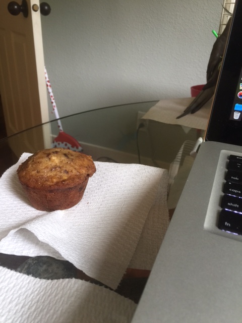 Onlookers quickly begin to wonder, did I just dream it? Was the Invisible Muffin Eater ever really here?