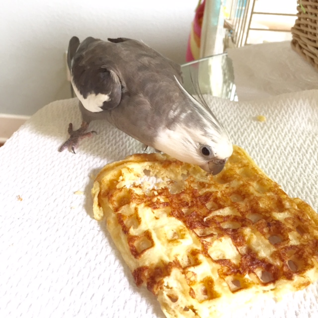 Another popular tactic is called "The Pose." Here, other beings assume you are being photographed and instinctually stay back to avoid ruining your picture.