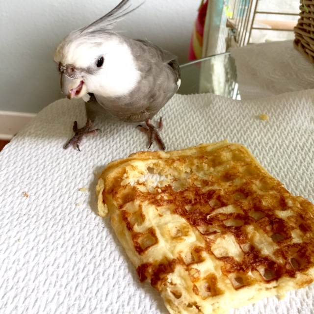 This tactic is called "The Oh No You Don't" for good reason. One look is all it takes to figure out what a poacher will get if they move any closer.