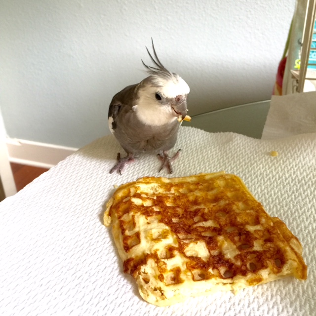 Uh uh. Back away slowwwlllyyy. I saw it first. It's mine. Mine. MINE.