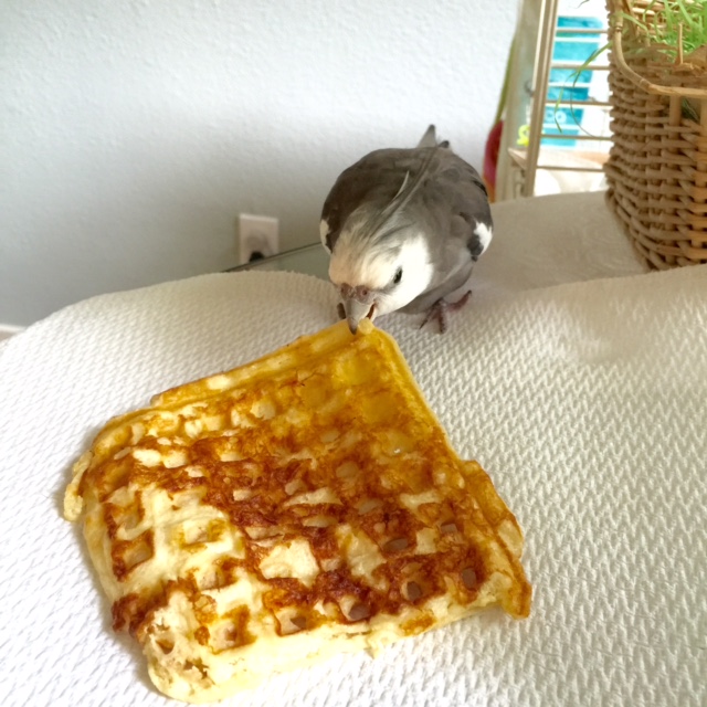 I'm going to claim it right away by dragging it into my lair.